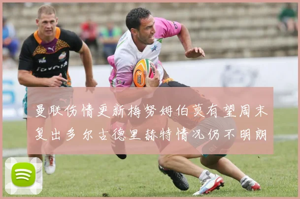 曼联伤情更新梅努姆伯莫有望周末复出多尔古德里赫特情况仍不明朗