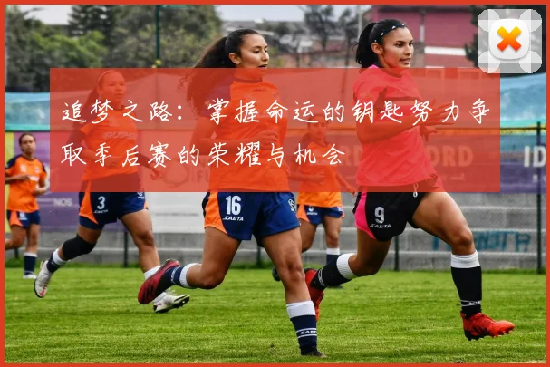 追梦之路：掌握命运的钥匙努力争取季后赛的荣耀与机会